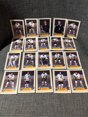 Johnstown Chiefs ECHL 1991 1992 Trading Card Set